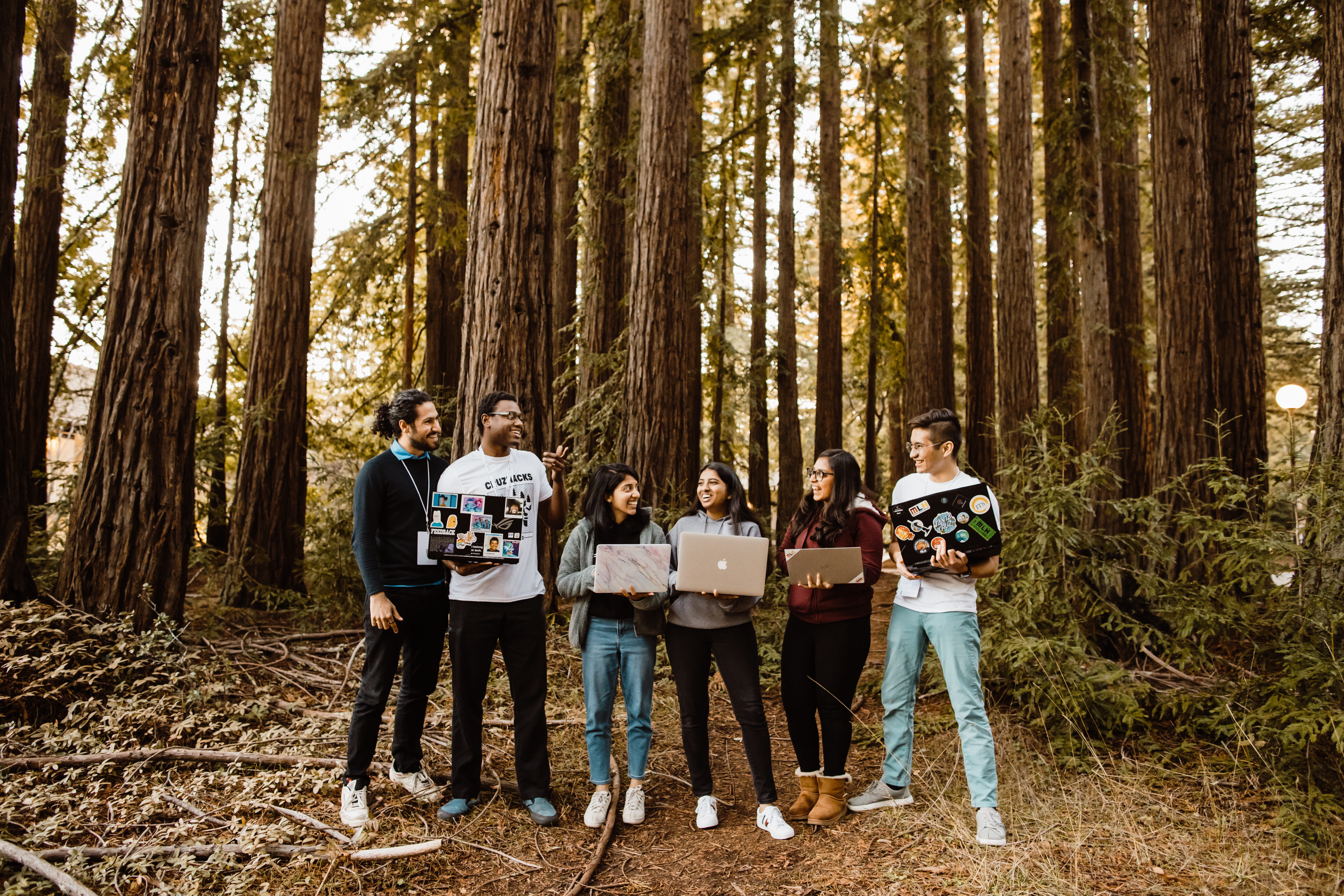 Students from Baskin Engineering in the magnificent redwoods