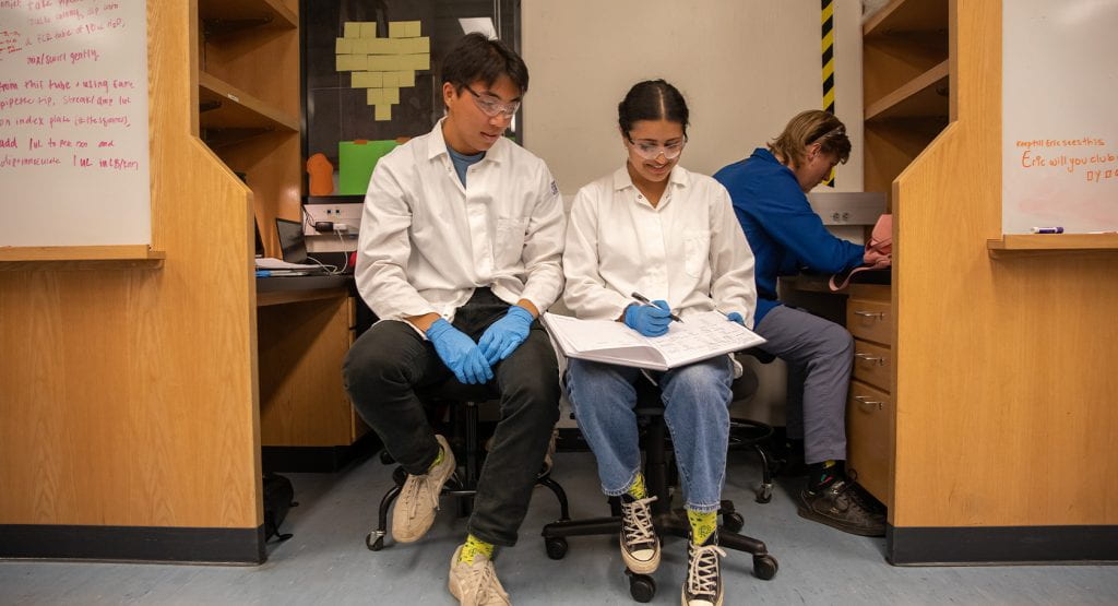 iGEM students working in lab